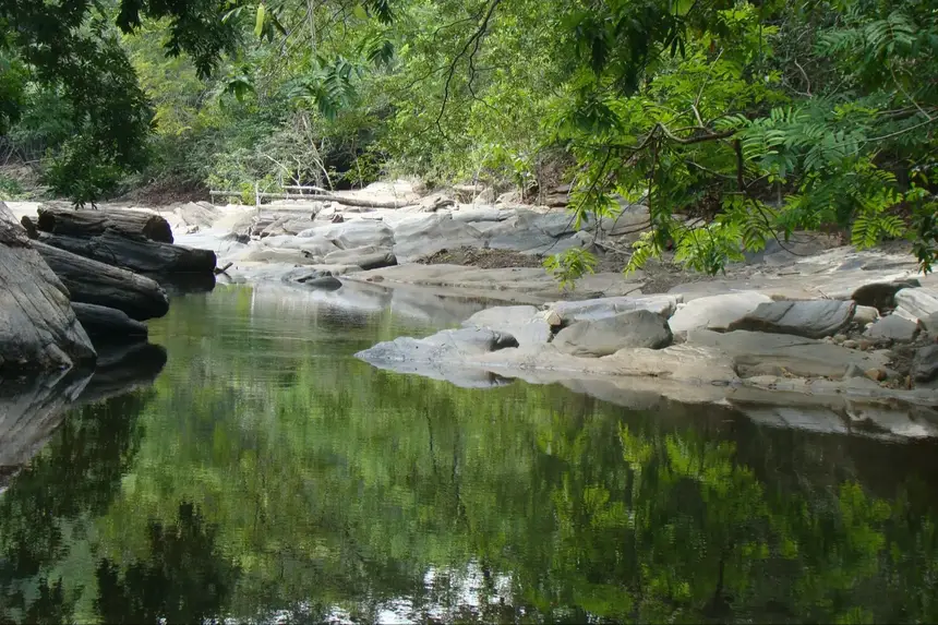 Pará alcança 88 mil hectares de áreas protegidas com novas Unidades de Conservação
