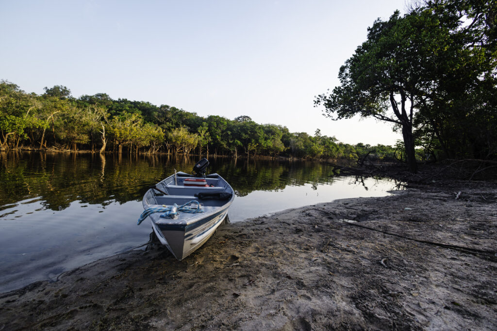 Unidades de Conservação da Amazônia tiveram menor desmatamento dos últimos 11 anos em 2025