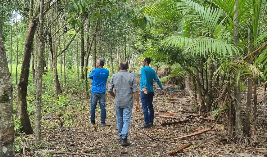 Projeto capacita peconheiros em Soure e Salvaterra para a colheita sustentável de aça