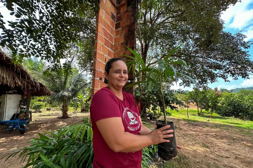 Sistemas Agroflorestais beneficiam mais de 1,7 mil famílias no Pará