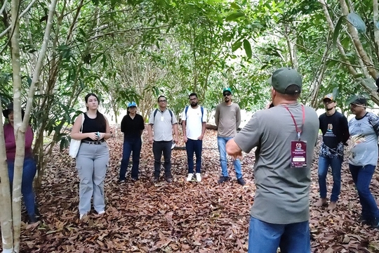 Encontro debate o avanço da bioeconomia do cumaru no Pará
