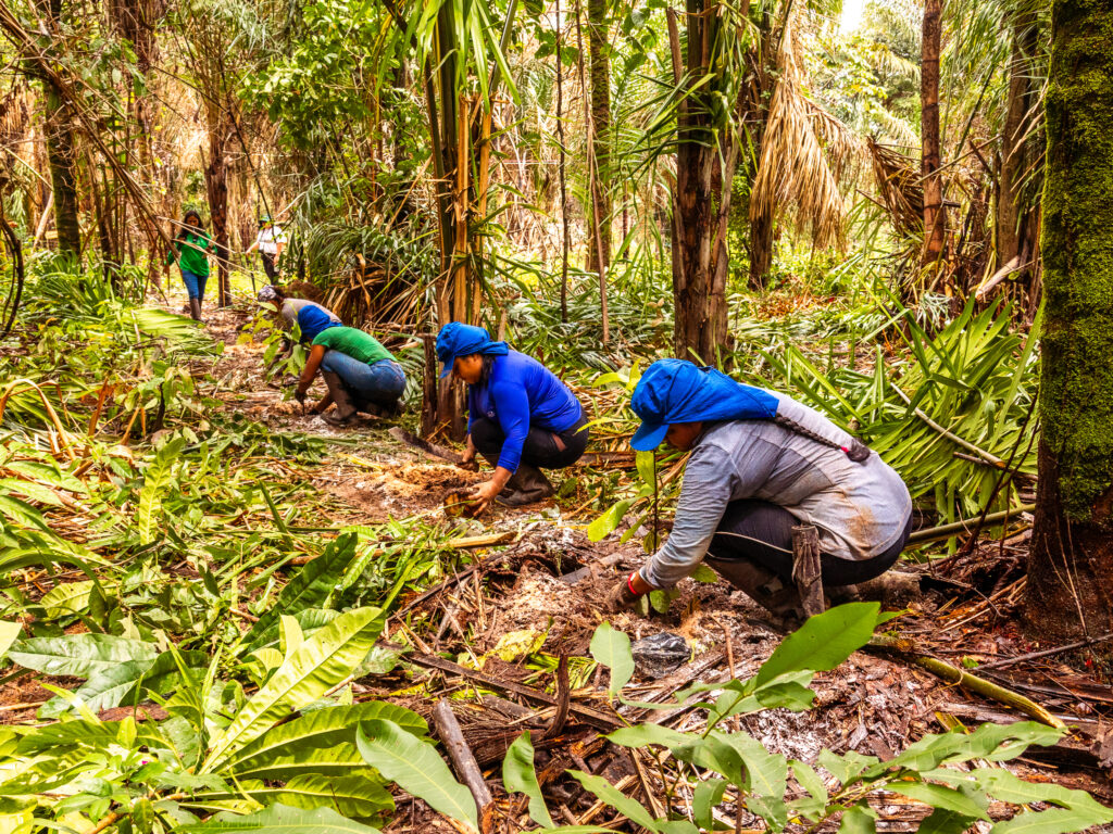 Campanha fortalece sustentabilidade no Marajó contra os impactos da crise climática