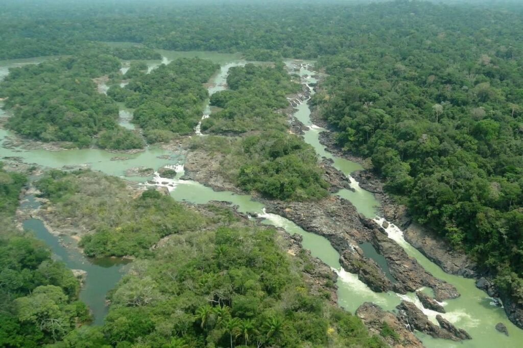 STF valida lei que reduz área do Parque do Jamanxim para a construção da Ferrogrão