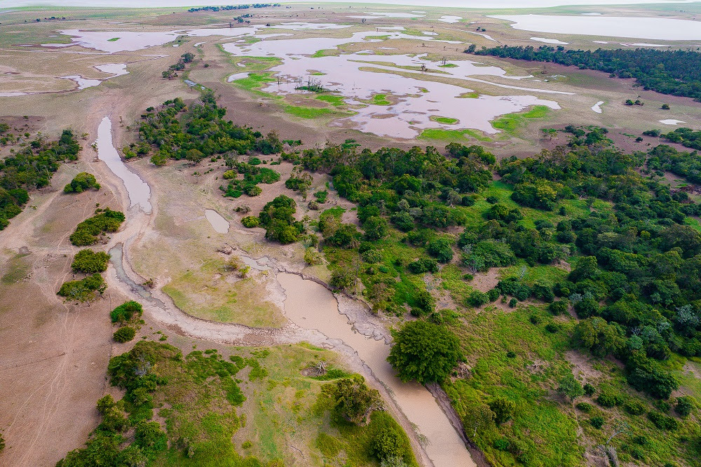 Próxima década será de seca severa e calor acima da média na Amazônia
