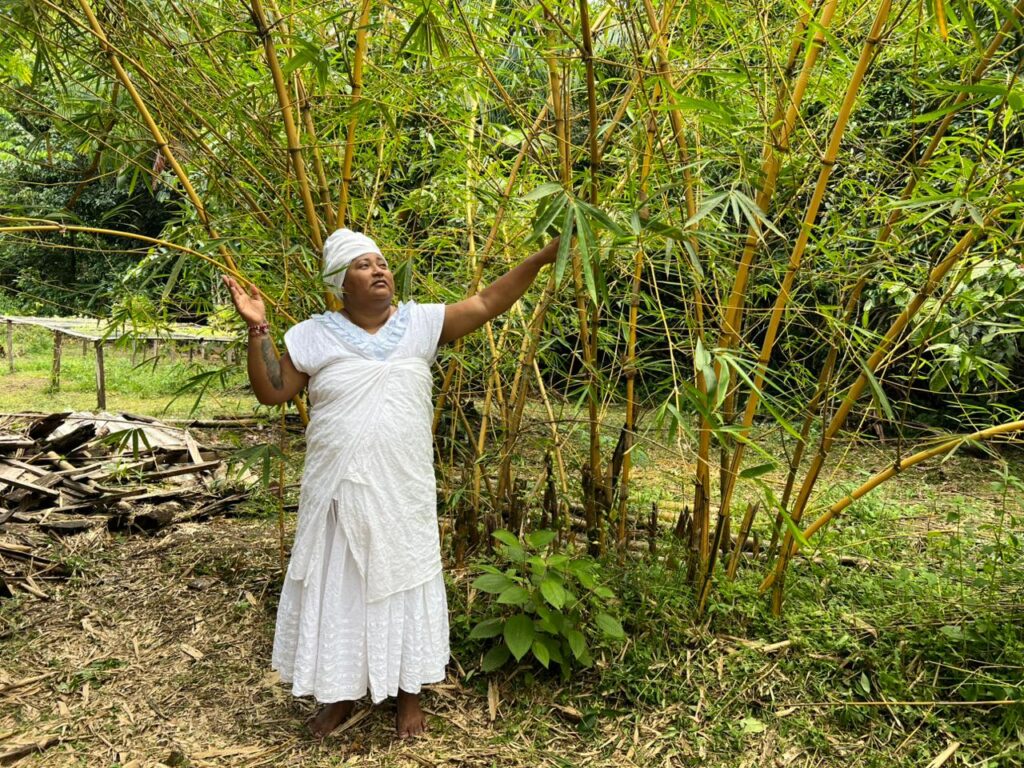 Soberania alimentar vira resistência contra a destruição da floresta no Quilombo do Abacatal