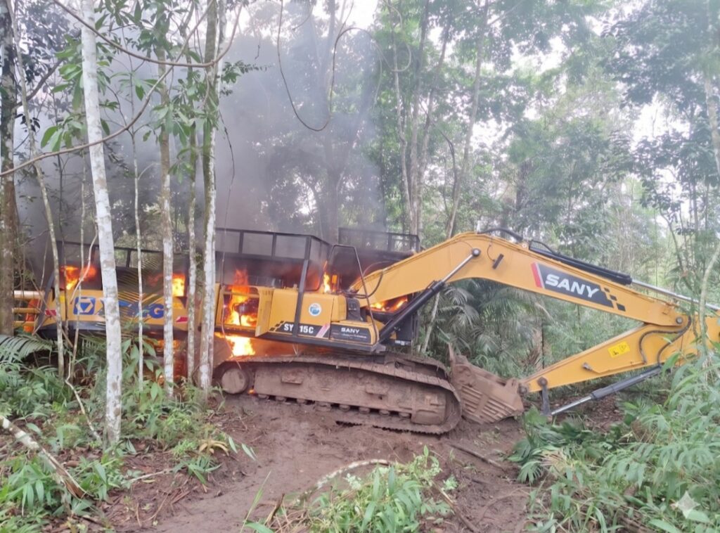 Ibama combate o garimpo ilegal na floresta das Árvores Gigantes, entre o Amapá e o Pará