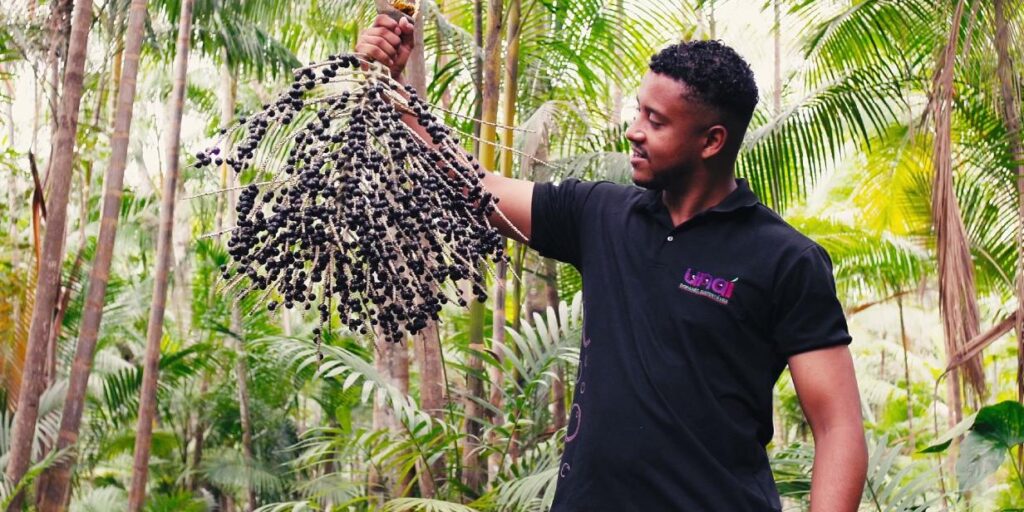 Jovem do Pará leva projeto sustentável com caroço de açaí à conferência mundial