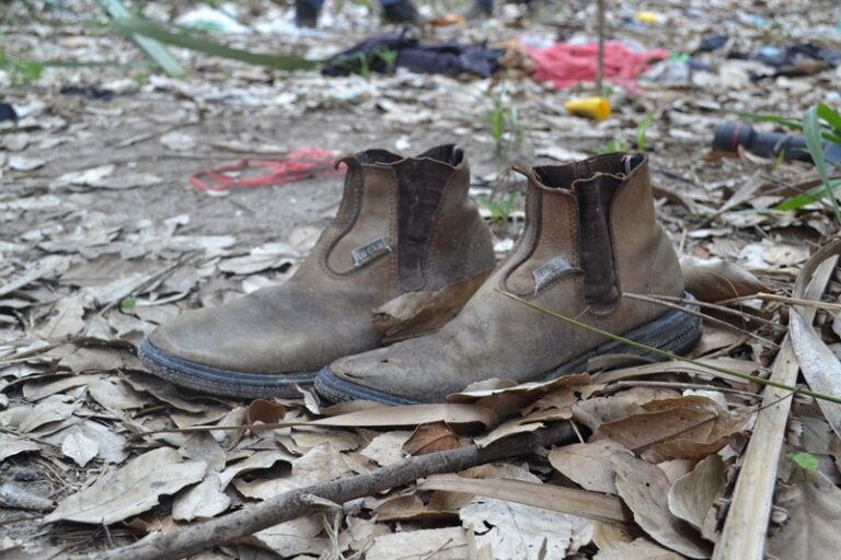 Estados com mais violência no campo lideram falta de punição por crime ambiental