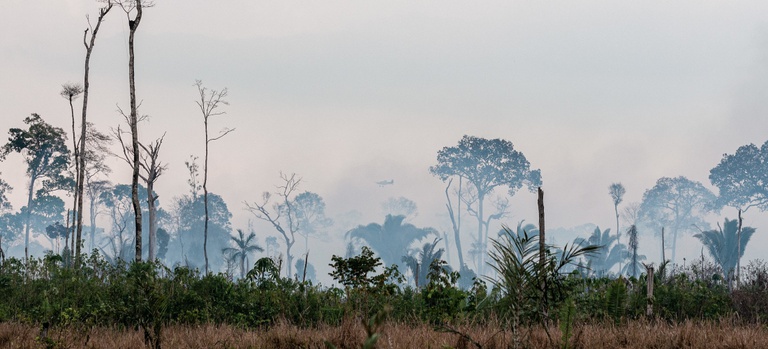 Operação para prevenir incêndios florestais na Amazônia em 2026 já começou