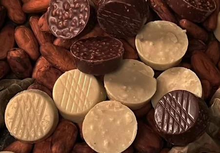 Dia do Chocolate: cacau sustentável do Pará protege a Amazônia