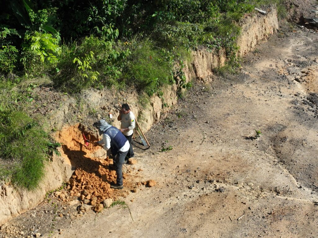 Parceria fortalece restauração ambiental e vocação agrícola em municípios do Pará