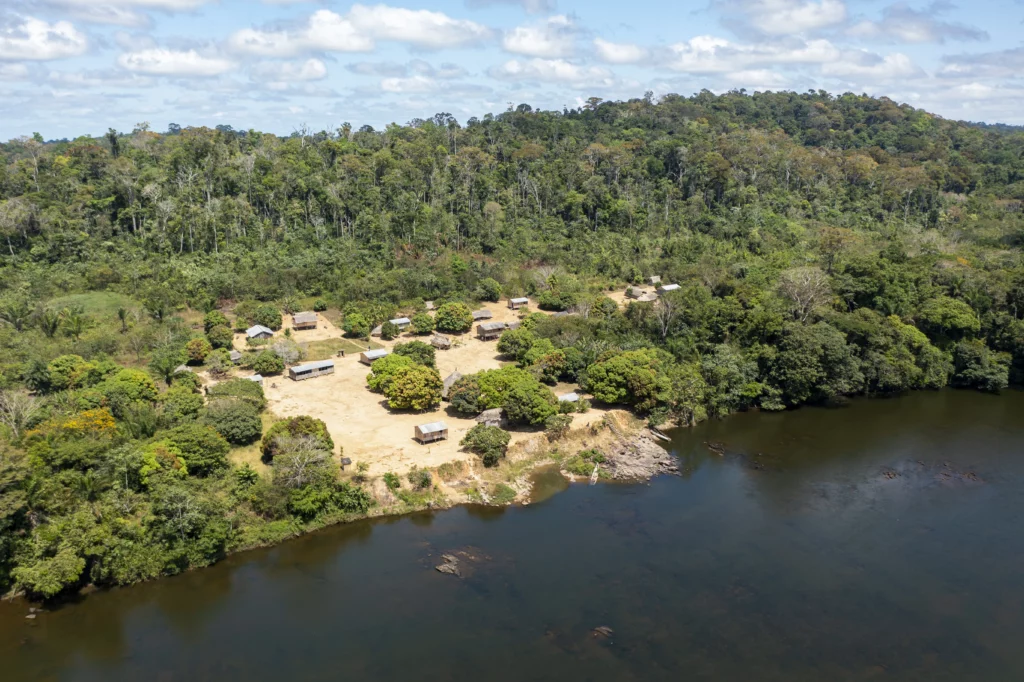 Imazon e UFOPA unem forças para mapear a biodiversidade no Pará