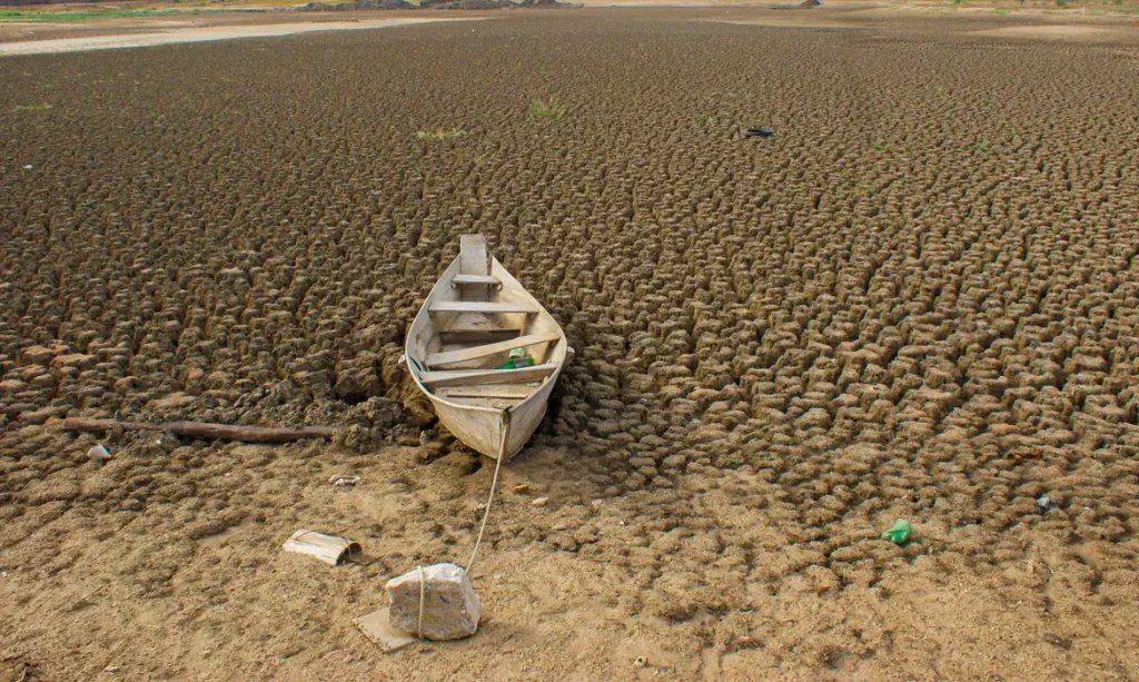 Brasil promete restaurar 163 mil km² de terras degradadas até 2030