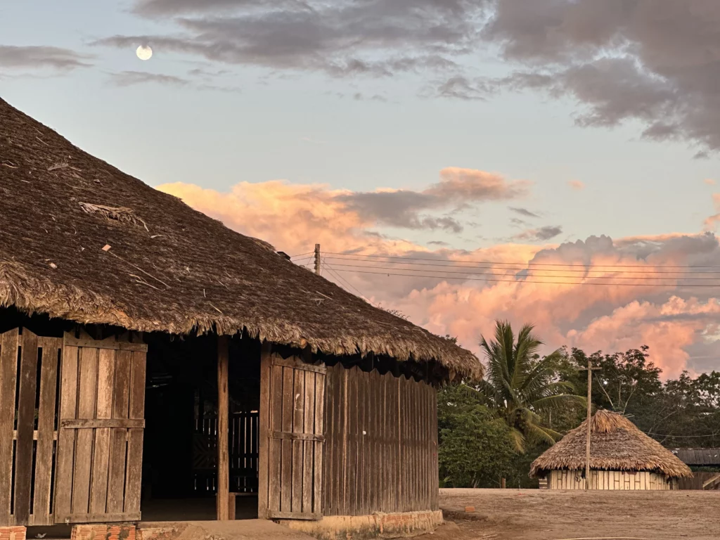 Terras indígenas respondem por apenas 1,7% do desmatamento da Amazônia