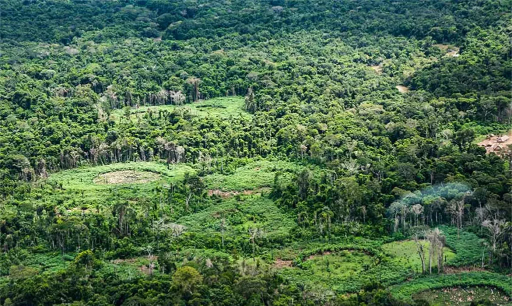 Saberes Panará e ciência se unem para catalogar biodiversidade na Amazônia
