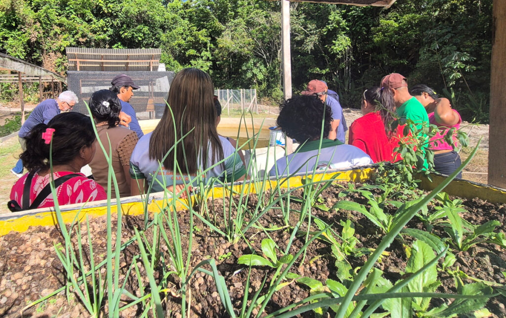 Conexão de Saberes promove renda e autonomia para famílias do Marajó