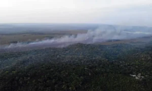 Com 16 cidades em emergência, Pará recebe crédito de R$ 300 milhões contra o fogo