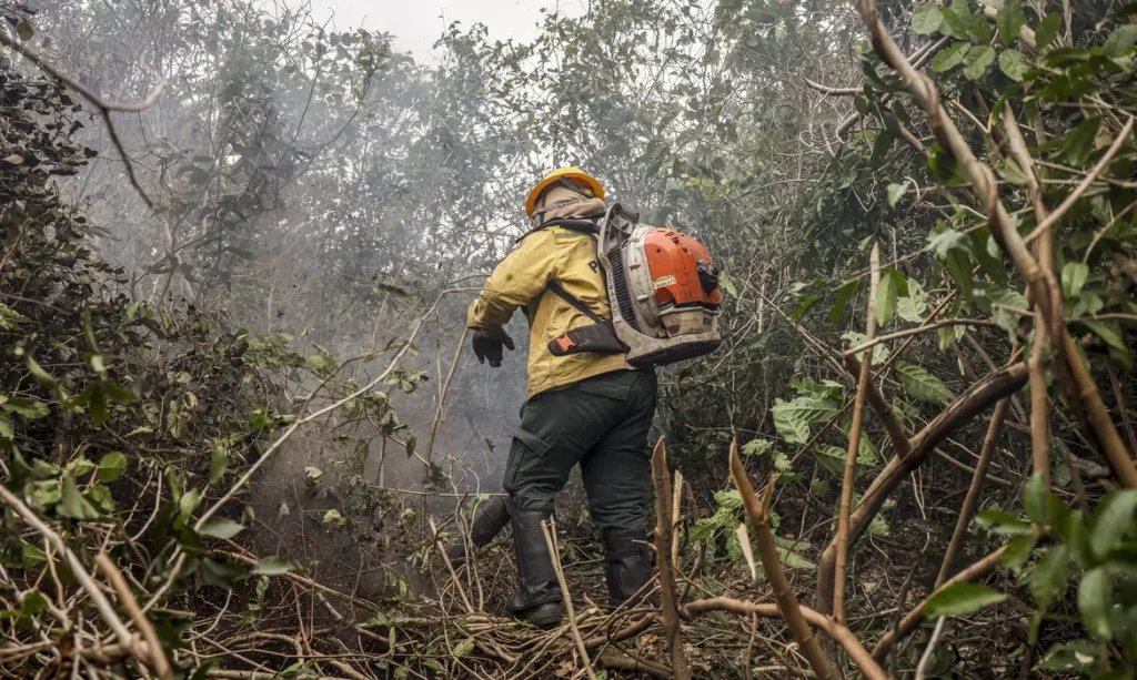 Incêndios no Amazonas resultam de ação humana, diz ministro