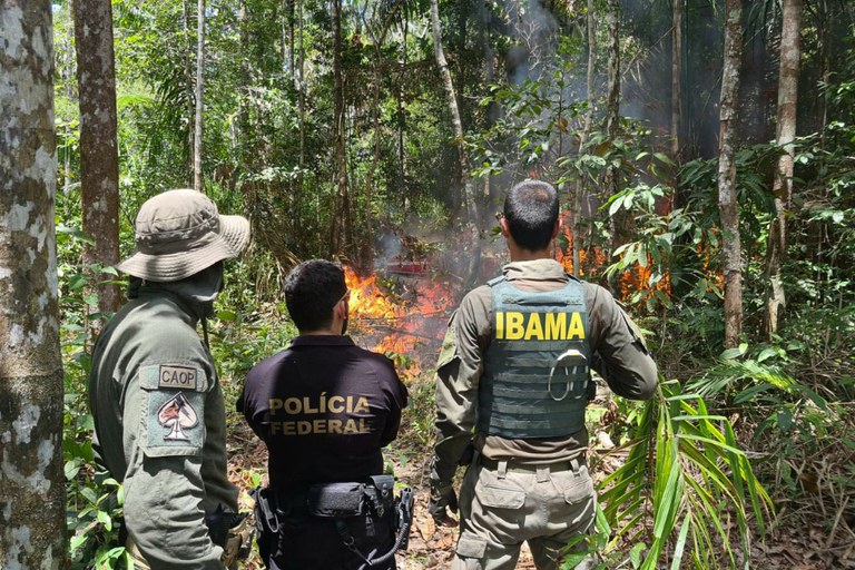 Ibama aplica R$ 2 milhões em multas por incêndios ilegais na Amazônia