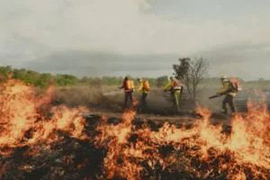 Comunidades e instituições buscam soluções para reduzir as queimadas no Pará