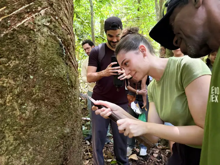 Parceria entre Brasil e França inaugura Escola Imersiva em Sociobioeconomia no Pará